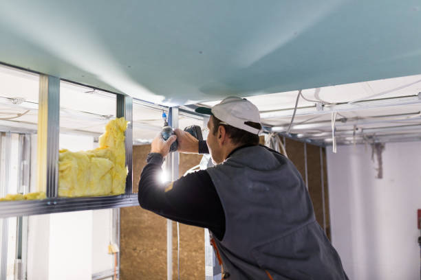 Best Insulation Maintenance and Repair in Parkville, MO