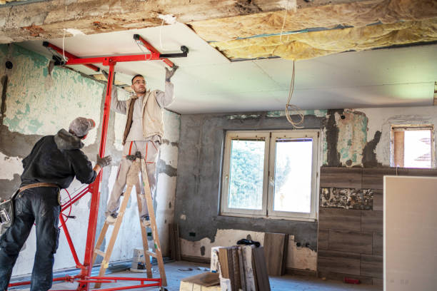 Best Insulation Maintenance and Repair in Parkville, MO