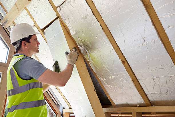 Best Commercial Insulation in Parkville, MO